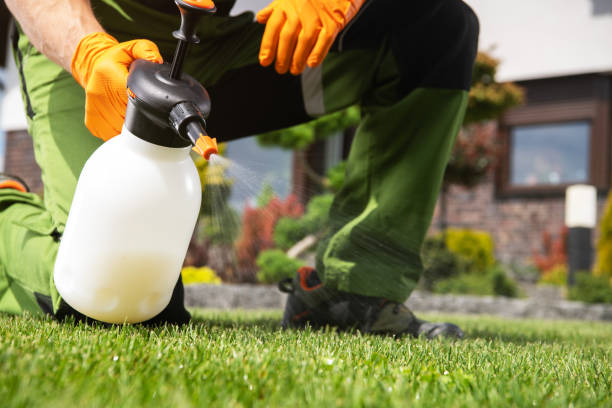 Best Local Pest Control Services  in Vermillion, SD