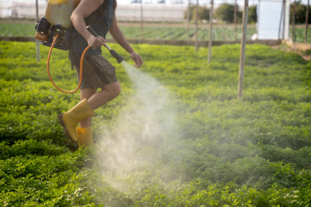 Best Pest Prevention Services  in Vermillion, SD