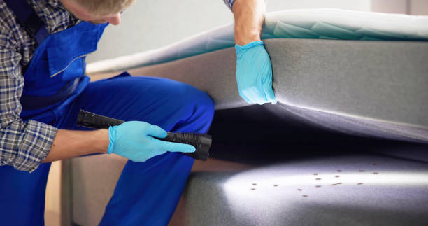 Best Residential Pest Control  in Vermillion, SD