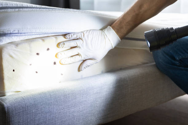 Best Best Pest Control Companies  in Vermillion, SD
