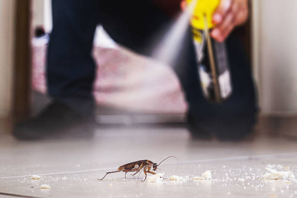 Best Commercial Pest Control Services  in Vermillion, SD